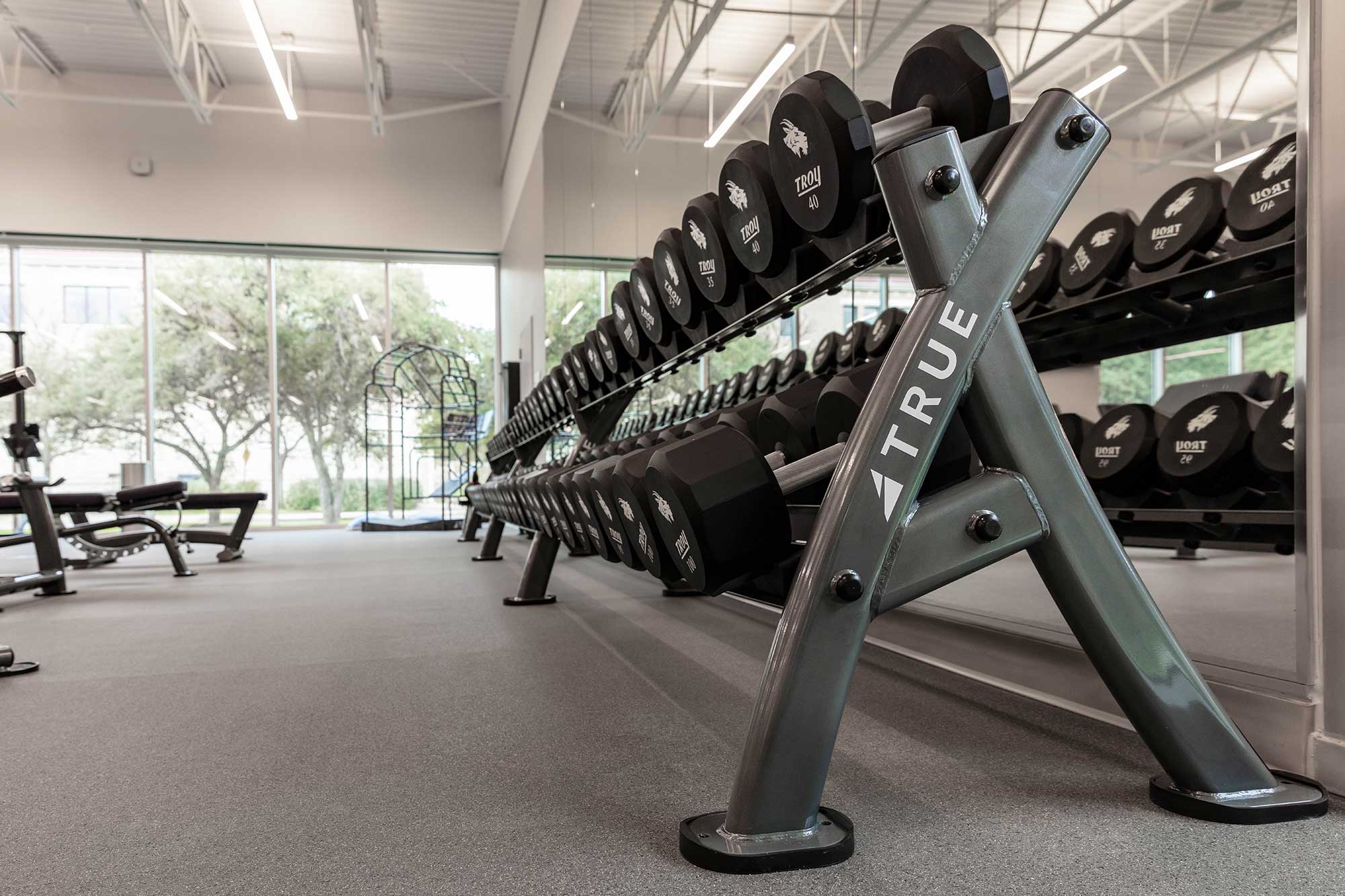 A row of black dumbbells on a rack in a modern gym with large windows, gray flooring, and exercise equipment visible in the background.