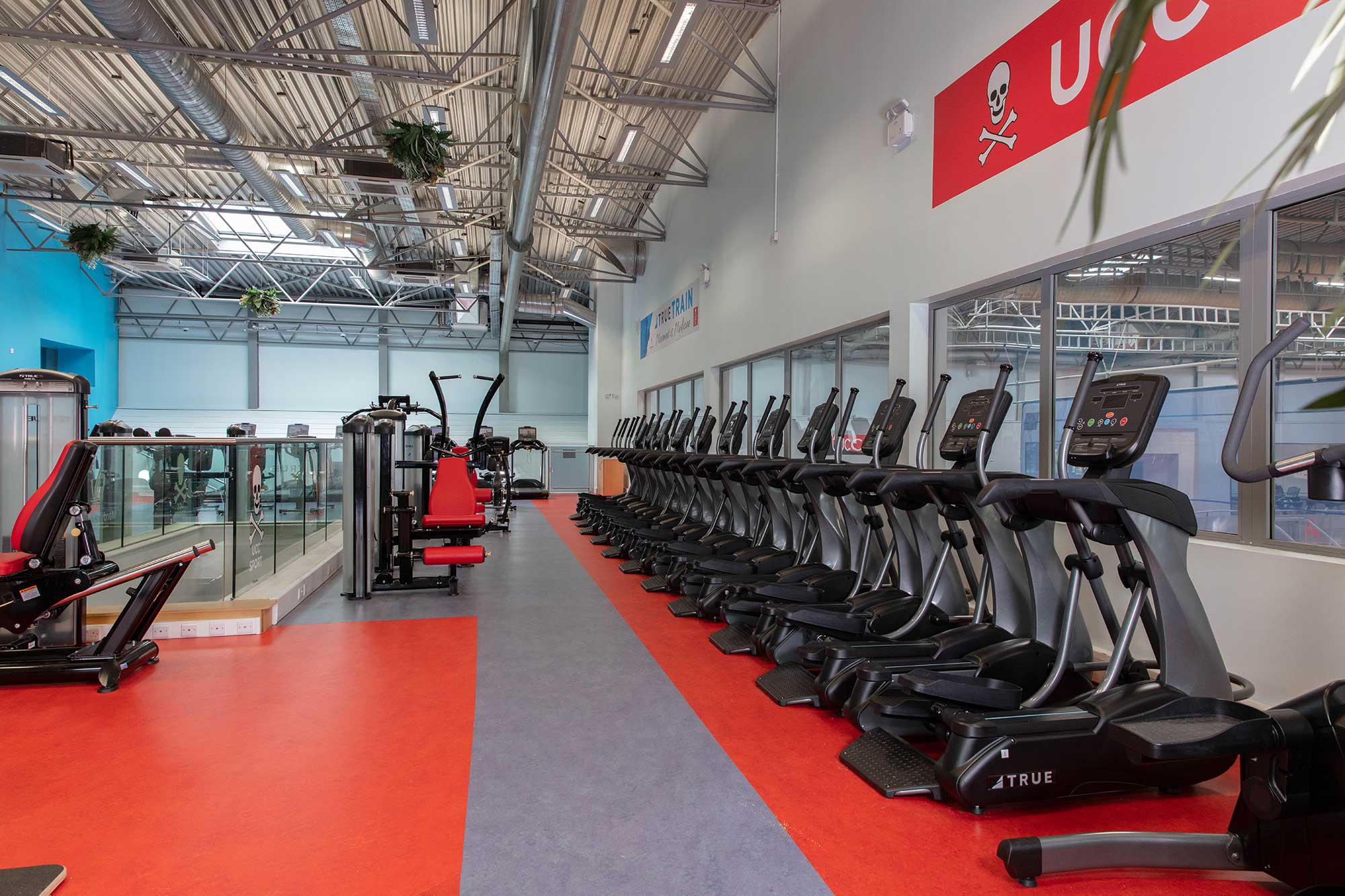 A modern gym with rows of elliptical machines and workout equipment on a red and gray floor, large windows, high ceilings, and indoor plants hanging from the ceiling.