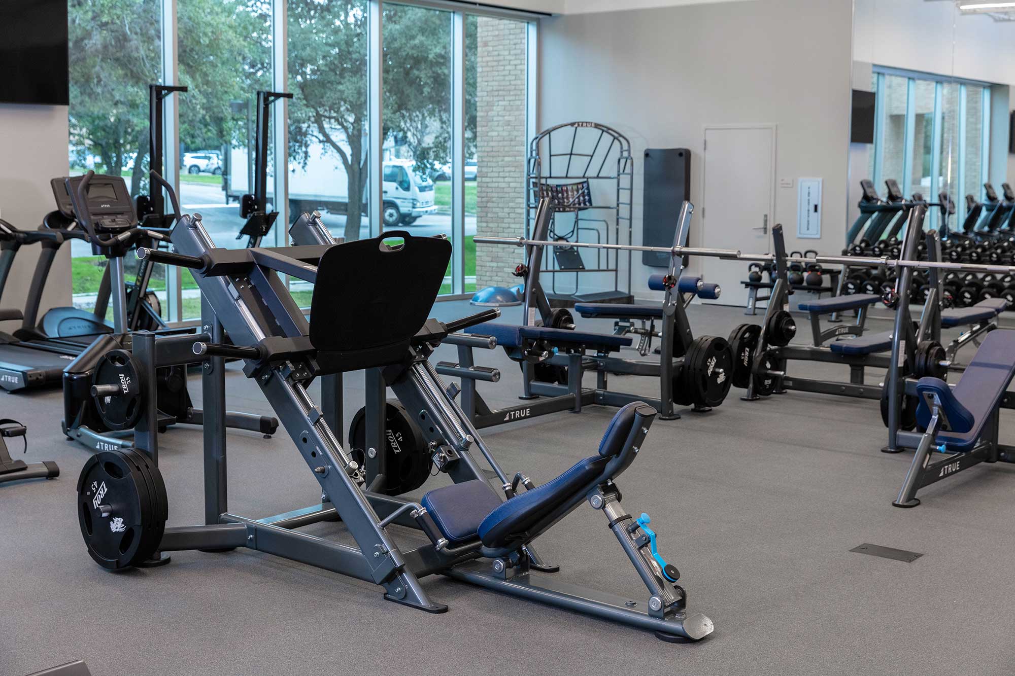 A modern gym with various weight machines, free weights, and benches, set on gray flooring with large windows showing trees and cars outside. The space is clean, bright, and organized.