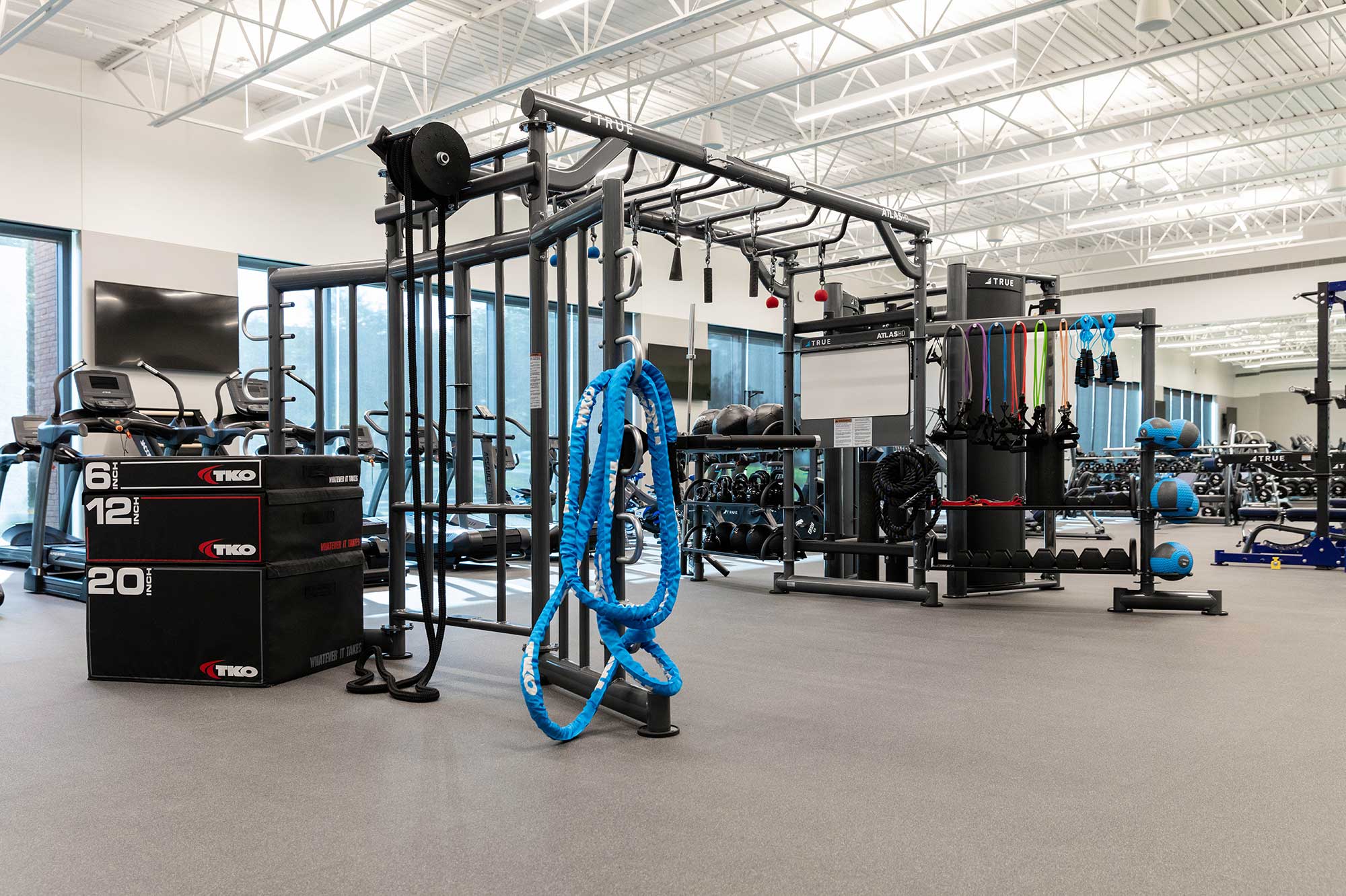 A spacious gym with exercise machines, free weights, resistance bands, medicine balls, plyometric boxes, and ropes. Large windows let in natural light; the space is clean and modern with high ceilings and gray flooring.