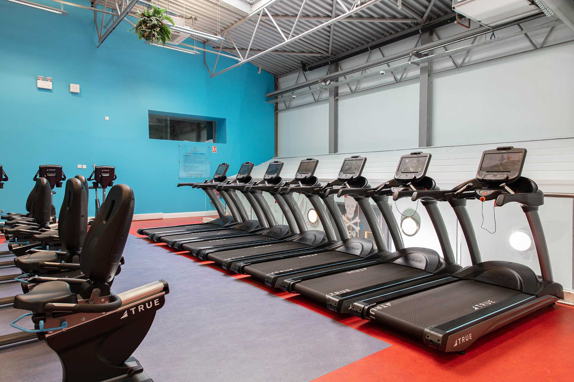 Row of treadmills and stationary bikes in a bright gym with blue walls, high ceilings, and skylights letting in natural light. The space is clean, modern, and organized, with exercise machines lined up neatly.