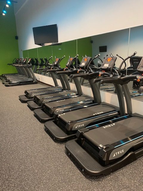 A row of black treadmills is lined up against a mirrored wall in a gym with green and white walls. A flat-screen TV is mounted above the treadmills. The room is empty.