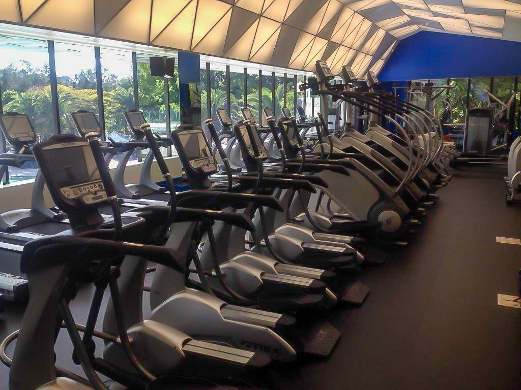 A modern gym with rows of elliptical machines and treadmills facing large windows, allowing natural light to fill the space. Trees and greenery are visible outside.